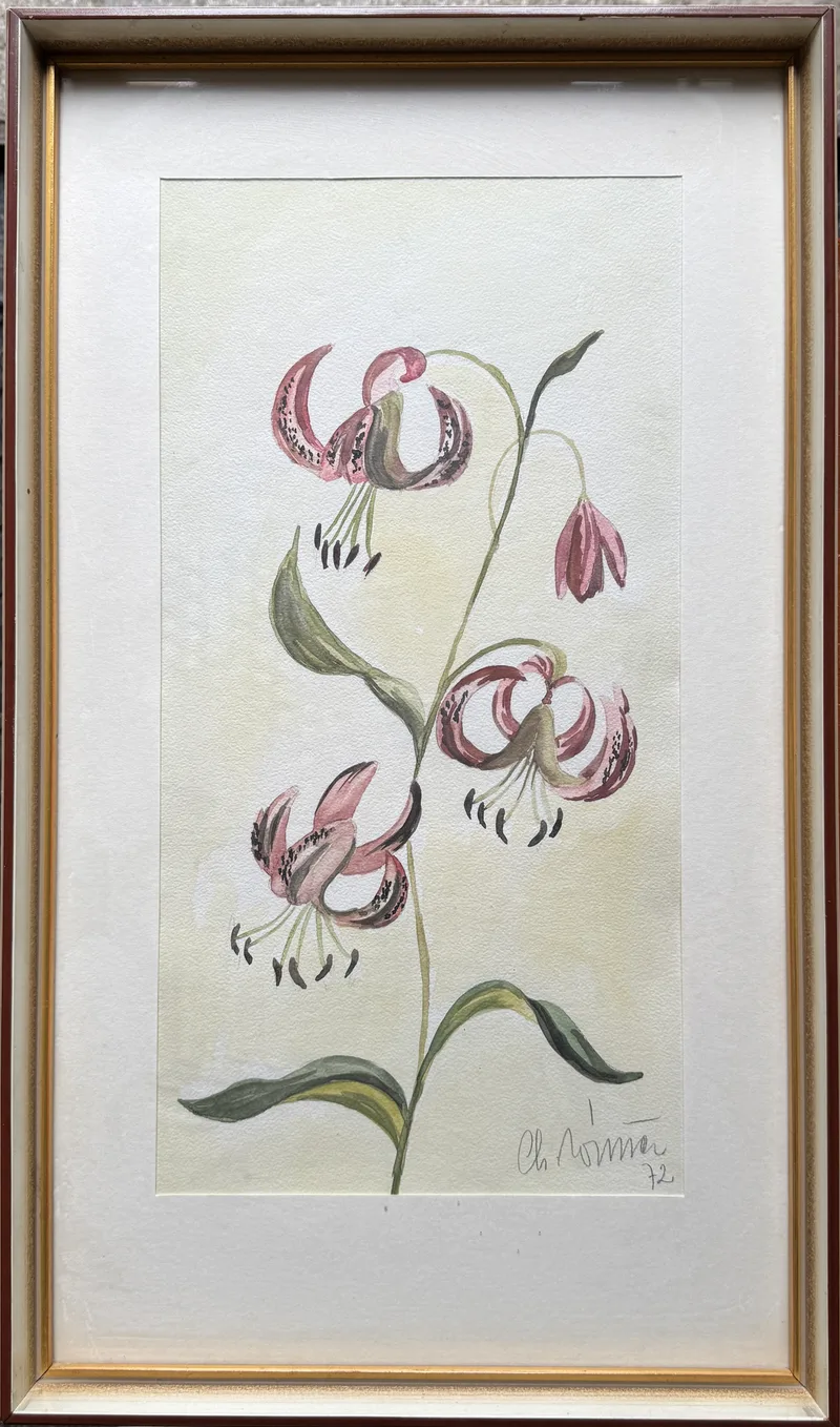 Ch. Wimmer, Skizze rosa, Aquarell
